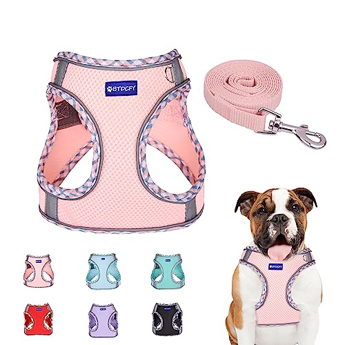 BTDCFY Hundegeschirr und Leine, Netzgewebe, atmungsaktiv, reflektierend, ausbruchsicher, kein Würgen, leicht BTDCFY Hundegeschirr und Leine, Netzgewebe, atmungsaktiv, reflektierend, ausbruchsicher, kein Würgen, leicht von BTDCFY