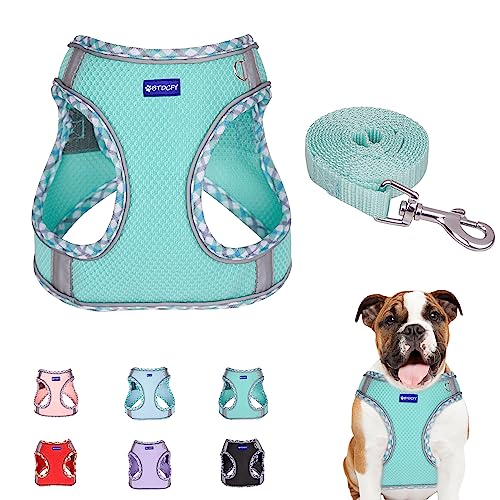BTDCFY Step in Mesh Hundegeschirr und Leine, Set, atmungsaktiv, Air-Mesh, reflektierend, ausbruchsicher, Hundegeschirr, Weste, kein Würgen, leichtes Netz-Hundegeschirr BTDCFY Step in Mesh Hundegeschirr und Leine, Set, atmungsaktiv, Air-Mesh, reflektierend, ausbruchsicher, Hundegeschirr, Weste, kein Würgen, leichtes Netz-Hundegeschirr von BTDCFY