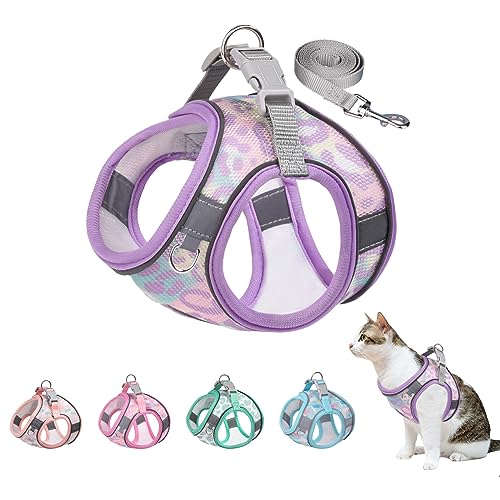 BTDCFY Step in Mesh Hundegeschirr und Leine, Set, atmungsaktiv, Air-Mesh-reflektierend, ausbruchsicher, kein Würgen, leichtes Mesh-Hundegeschirr (Größe M: Hals: 30,5 cm - 34,3 cm, Brustumfang: 40,6 - von BTDCFY