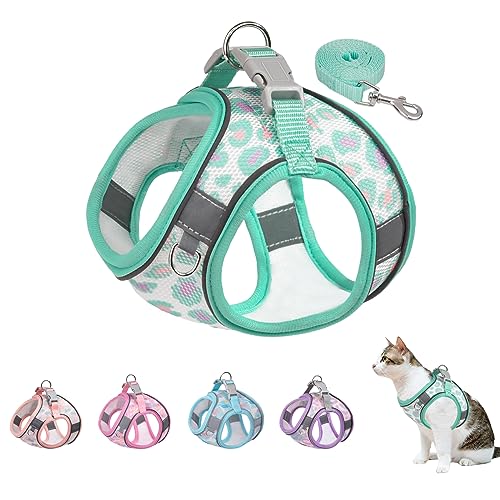 BTDCFY Step in Mesh Hundegeschirr und Leine, Set, atmungsaktiv, Air-Mesh-reflektierend, ausbruchsicher, kein Würgen, leichtes Mesh-Hundegeschirr (XS (Hals: 24,1 cm - 26,7 cm, Brust: 29,2 - 34,3 cm), von BTDCFY