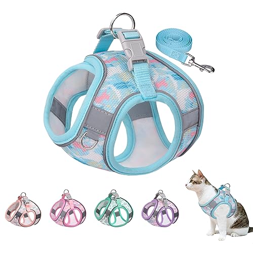 BTDCFY Step in Mesh Hundegeschirr und Leine, Set Atmungsaktives Air-Mesh Reflektierend, Ausbruchsicher, Hundegeschirr, Weste, kein Würgen, leichtes Mesh-Hundegeschirr (S(Hals: 26,7 cm - 30,5 cm, von BTDCFY