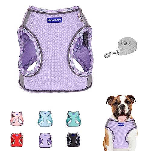 BTDCFY Step in Mesh Hundegeschirr und Leine Set Atmungsaktives Air Mesh Reflektierend Ausbruchsicher Hundegeschirr Weste Kein Würgen Leichtes Mesh Hundegeschirr BTDCFY Step in Mesh Hundegeschirr und Leine Set Atmungsaktives Air Mesh Reflektierend Ausbruchsicher Hundegeschirr Weste Kein Würgen Leichtes Mesh Hundegeschirr von BTDCFY