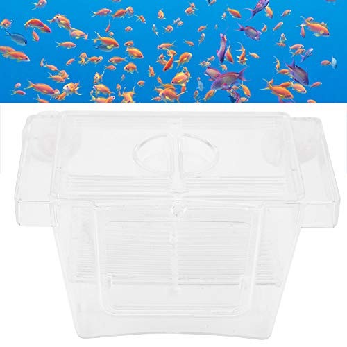 BTOSEP Aquarium-Brut-Zuchtboxen, Acryl-Aquarium-Fisch-Zuchtbox, Schlüpf-Inkubator-Isolationsbox (kleine Größe) von BTOSEP
