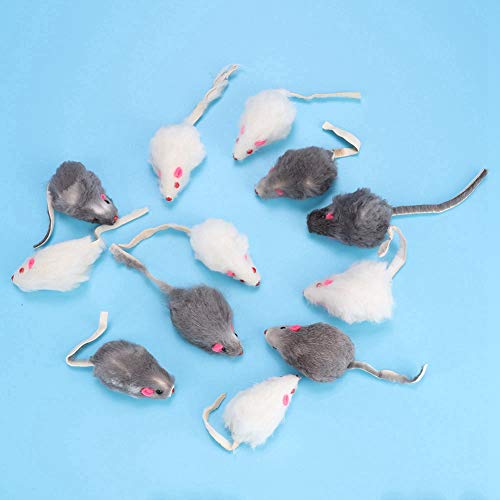BTOSEP Spielzeug 12 Mäuse aus Kaninchenfell, 12 Stück, Haustier-Katzenspielzeug, Kleine Plüschmaus, Lustiges Katzenspielzeug, Gefälschte Maus Kätzchen, Katze BTOSEP Spielzeug 12 Mäuse aus Kaninchenfell, 12 Stück, Haustier-Katzenspielzeug, Kleine Plüschmaus, Lustiges Katzenspielzeug, Gefälschte Maus Kätzchen, Katze von BTOSEP