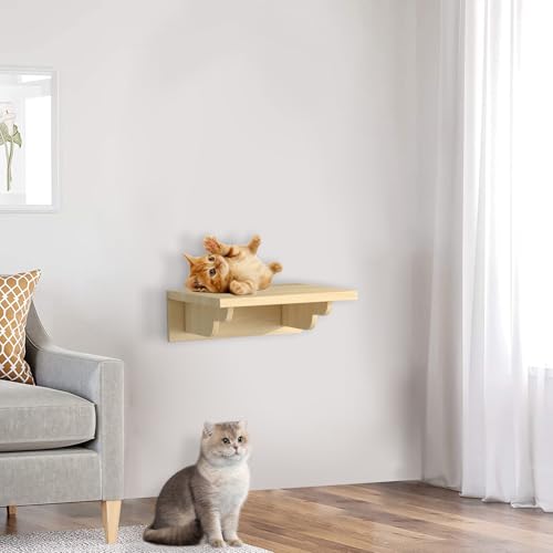 Kletterwand Katzen, Katzenwandmöbel Holz, Katzen Wandelemente DIY Kombination, Katzen Kletterwand Set, Katzenleiter, Katzenkratzbaum, Katzentreppe, Katzennest (große Plattform) von BTSAE