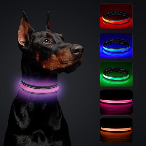 Leuchthalsband Hund, Wasserdicht Hundehalsband Leuchtend, USB Leuchthalsband Hund Aufladbar Längenverstellbarer mit DREI Beleuchtungsmodi LED Hunde Leuchthalsband, Hund Sicherheit Leuchtet für Nacht von BTkviseQat
