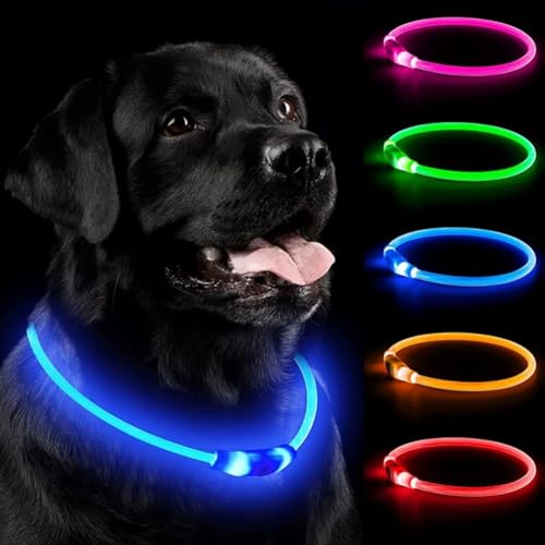 Leuchthalsband Hund,USB-aufladbar und wasserdicht LED hundehalsband, verstellbare Länge, Sicherheitshalsband für Hunde und Katzen,3 Beleuchtungsmodi von BTkviseQat