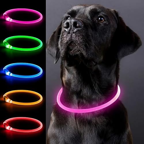 Leuchthalsband Hund,USB-aufladbar und wasserdicht LED hundehalsband, verstellbare Länge, Sicherheitshalsband für Hunde und Katzen,3 Beleuchtungsmodi von BTkviseQat