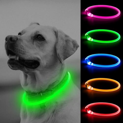 BTkviseQat Leuchthalsband Hund,USB-aufladbar und wasserdicht LED hundehalsband, verstellbare Länge, Sicherheitshalsband für Hunde und Katzen,3 Beleuchtungsmodi von BTkviseQat