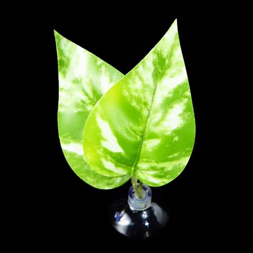 BUBEFSKD Bettas Fischblattpolster Doppelblatt Hängematte Ruhebett Sichere Umwelt Bettas Laichbett Aquarien Landschaft Accessoire Fishtanks von BUBEFSKD