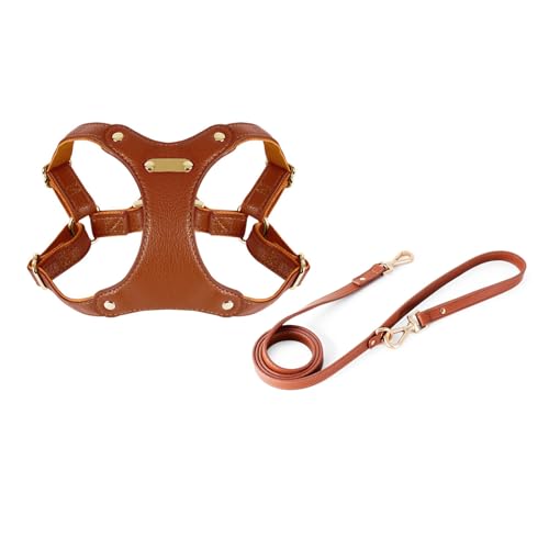 Hunde Training Kabelbaum & Leine Walking Pet Brust Training Weste Schnellveröffentlichung Einfache Kontrollweste Und Wandern von BUBEFSKD