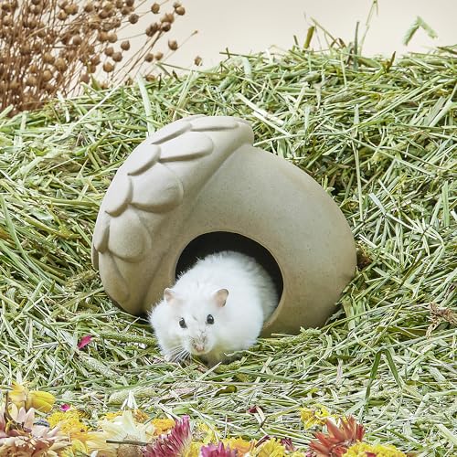 BUCATSTATE Hamster Hideout Keramik groß - Hideaway Haus Habitat Dekoration für syrische Zwerg Hamster Mäuse Gerbils Mäuse oder andere ähnlich große kleine Haustier (Eichel geformt) von BUCATSTATE