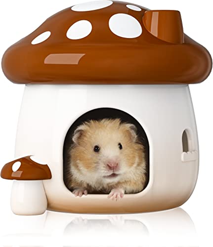 BUCATSTATE Hamsterversteck Keramik, pilzförmiges Hamsterhaus und Lebensraum Frisches Bett Ideal für Zwerghamster für alle Jahreszeiten Rennmäuse Goldener Bär (Braun-Groß) von BUCATSTATE