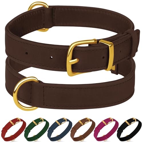 Hundehalsband aus echtem Leder, strapazierfähig, verstellbar, weich gepolstert, für kleine, mittelgroße und große Hunderassen, Schwarz, Grün, Braun, Rosa, Rot, Blau (Braun, M, Halsumfang 30,5 - 38,1 Hundehalsband aus echtem Leder, strapazierfähig, verstellbar, weich gepolstert, für kleine, mittelgroße und große Hunderassen, Schwarz, Grün, Braun, Rosa, Rot, Blau (Braun, M, Halsumfang 30,5 - 38,1 von BUDKAS