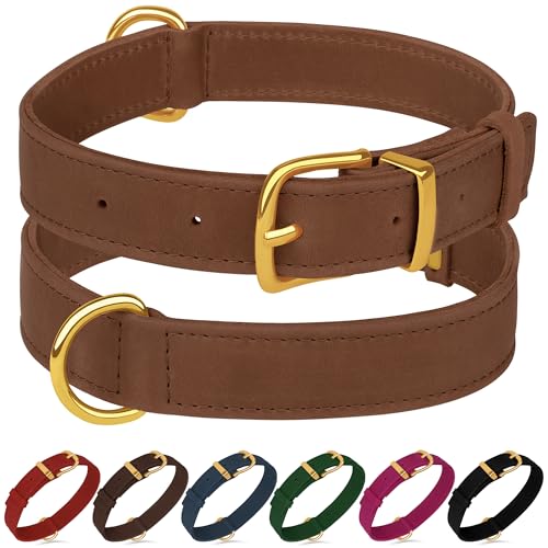 Hundehalsband aus echtem Leder, strapazierfähig, verstellbar, weich gepolstert, für kleine, mittelgroße und große Hunderassen, Schwarz, Grün, Braun, Rosa, Rot, Blau (Cognac, S, 22,9 - 30,5 cm Hundehalsband aus echtem Leder, strapazierfähig, verstellbar, weich gepolstert, für kleine, mittelgroße und große Hunderassen, Schwarz, Grün, Braun, Rosa, Rot, Blau (Cognac, S, 22,9 - 30,5 cm von BUDKAS