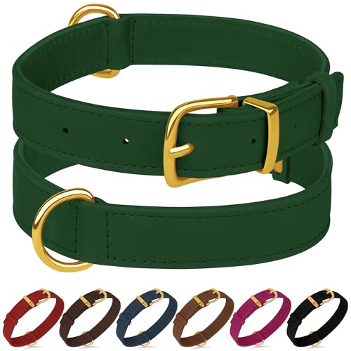 Hundehalsband aus echtem Leder, strapazierfähig, verstellbar, weich gepolstert, für kleine, mittelgroße und große Hunderassen, Schwarz, Grün, Braun, Rosa, Rot, Blau (Grün, L, Halsumfang 38,1 - 48,3 cm Hundehalsband aus echtem Leder, strapazierfähig, verstellbar, weich gepolstert, für kleine, mittelgroße und große Hunderassen, Schwarz, Grün, Braun, Rosa, Rot, Blau (Grün, L, Halsumfang 38,1 - 48,3 cm von BUDKAS