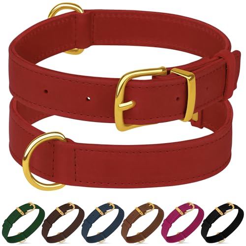 Hundehalsband aus echtem Leder, strapazierfähig, verstellbar, weich gepolstert, für kleine, mittelgroße und große Hunderassen, Schwarz, Grün, Braun, Rosa, Rot, Blau (Rot, L, Halsumfang von 38,1 - 48,3 Hundehalsband aus echtem Leder, strapazierfähig, verstellbar, weich gepolstert, für kleine, mittelgroße und große Hunderassen, Schwarz, Grün, Braun, Rosa, Rot, Blau (Rot, L, Halsumfang von 38,1 - 48,3 von BUDKAS
