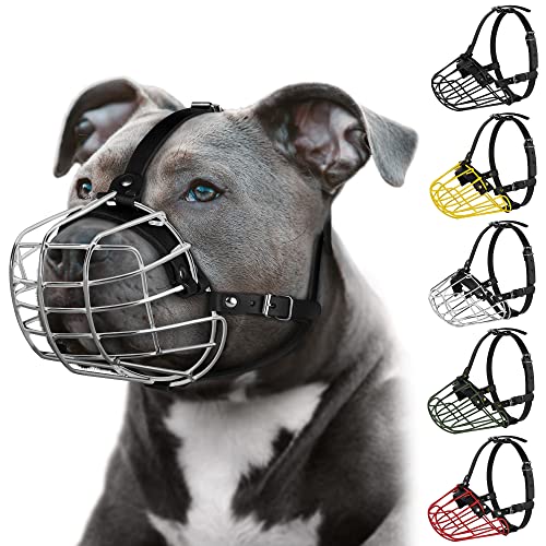 Pitbull Maulkorb für Hunde, Metallmaske, Amstaff sicherer Drahtkorb, verstellbare, langlebige Lederriemen für große Hunde (Stahl) von BUDKAS