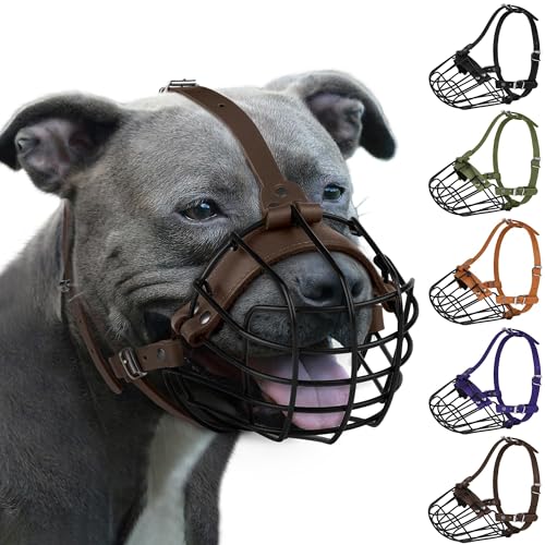Pitbull Maulkorb für Hunde, atmungsaktiv, Metallkorb für große Hunde, Amstaff Staffordshire Terrier, sichere Drahtmaske, verstellbar, langlebig, Lederriemen, Beißen, Kauen, Bellen (groß, dunkelbraun) Pitbull Maulkorb für Hunde, atmungsaktiv, Metallkorb für große Hunde, Amstaff Staffordshire Terrier, sichere Drahtmaske, verstellbar, langlebig, Lederriemen, Beißen, Kauen, Bellen (groß, dunkelbraun) von BUDKAS