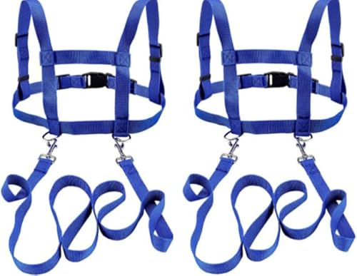 2er-Set Pferdeleine zum Spielen für Kinder, mehrfarbige Kinderleine, verstellbare Pferdeleine, Pferdeleine Kinder, geeignet für Skifahren, Rollenspiele, für Jungen und Mädchen zum Spielen(Blau) von BUERPINKING