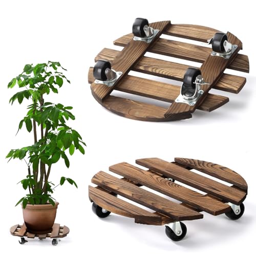 BUERPINKING Pflanzenroller Rund 30cm, 2 Stück Pflanzenroller Outdoor Indoor Rollbrett Pflanzen Holz mit Rollen 100 Kg Tragkraft, Blumenroller Blumen Untersetzer Pflanzenuntersetzer BUERPINKING Pflanzenroller Rund 30cm, 2 Stück Pflanzenroller Outdoor Indoor Rollbrett Pflanzen Holz mit Rollen 100 Kg Tragkraft, Blumenroller Blumen Untersetzer Pflanzenuntersetzer von BUERPINKING