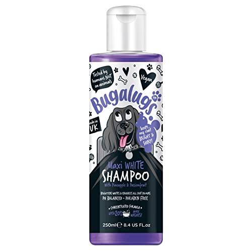 BUGALUGS Hundeshampoo - Whitening & Brightening Coat Enhancer für alle Fellfarben, bestes veganes Welpenpflege-Shampoo & Conditioner mit einer Ananas & Passionfruit (250 ml) von BUGALUGS