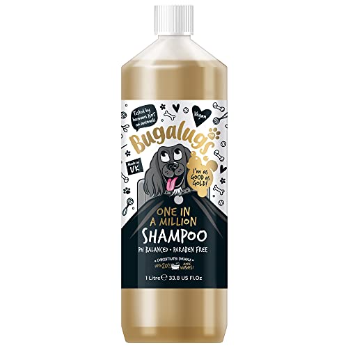 Bugalugs Hunde-Shampoo mit einem unverwechselbaren Ein-Millionen-Duft – natürliche Hundepflegeprodukte für stinkende Hunde mit Duft, bestes Welpen-Profi-Bräutigam-Shampoo und Conditioner (1 Liter) von BUGALUGS