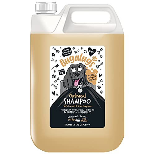 Bugalugs Hundeshampoo, 5 l, Haferflocken und Aloe Vera, spendet Feuchtigkeit, beruhigt und reinigt tiefenreinigend, ohne Sulfate und Parabene, ideal für empfindliche Haut und professionelle Verwendung von BUGALUGS
