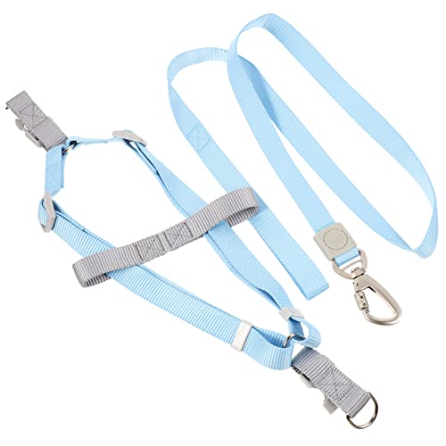 BUGUUYO Verstellbares Hundegeschirr Satz mit Leine für Kleine Hunde Ausbruchsicheres Geschirr Metall D-Ringe für Welpen und Training Flexibel und Verschleißfest BUGUUYO Verstellbares Hundegeschirr Satz mit Leine für Kleine Hunde Ausbruchsicheres Geschirr Metall D-Ringe für Welpen und Training Flexibel und Verschleißfest von BUGUUYO