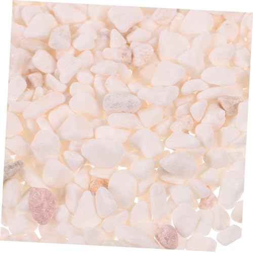 BUGUUYO 1tasche Aquariensteine Weiße Steine Für Aquarium Garten Dekoration Natursteine Felsen Für Schildkrötenbecken Aquariendekoration Zubehör Für Pflanzen Vase Landschaftsbau von BUGUUYO