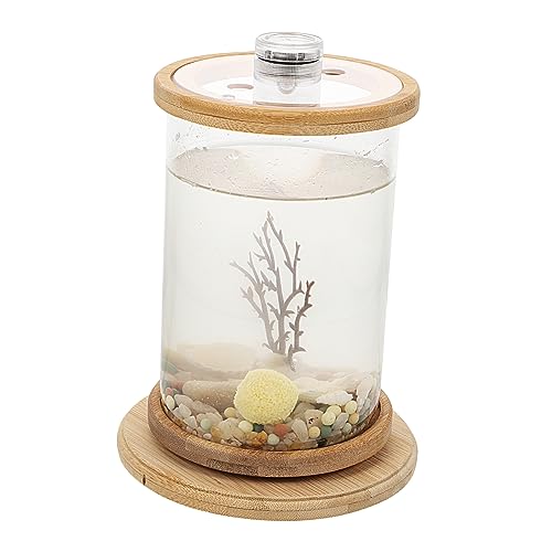 BUGUUYO 1 Satz Desktop Micro View Aquarium Kunstpflanze Desktop-versorgung Desktop-zubehör Transparentes Fischaquarium Dekoratives Fischaquarium Transparente Fischschale Brown Glas BUGUUYO 1 Satz Desktop Micro View Aquarium Kunstpflanze Desktop-versorgung Desktop-zubehör Transparentes Fischaquarium Dekoratives Fischaquarium Transparente Fischschale Brown Glas von BUGUUYO