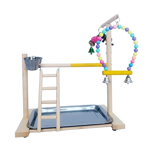 BUGUUYO Papageienständer aus Holz Trainingsständer für Haustiere interaktives Spielzeug verbessert die Fähigkeiten der Vögel für das Spielen mit Papageien Trainingsständer zufällige Farbe BUGUUYO Papageienständer aus Holz Trainingsständer für Haustiere interaktives Spielzeug verbessert die Fähigkeiten der Vögel für das Spielen mit Papageien Trainingsständer zufällige Farbe von BUGUUYO