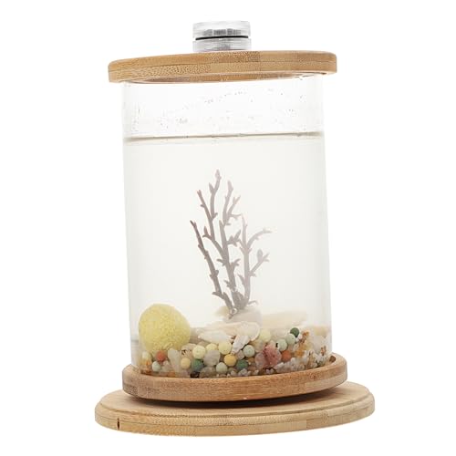 BUGUUYO 1 Set Glasbehälter Vase Töpfe Sukkulenten Im Glas Terrarium Topfpflanzen Künstliche Dekoration Bürodekoration Desktop-Mikroansicht Aquarium Dekorative Fischschale von BUGUUYO