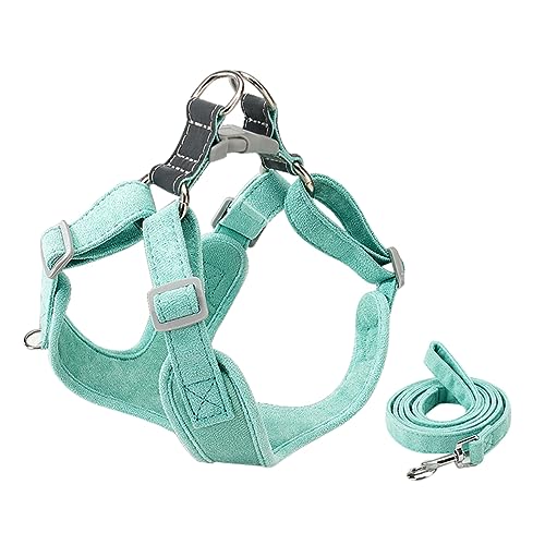 BUGUUYO 1satz Verstellbares Tragbares Hundegeschirr Mit Langlebiger Für Kleine Hunde Für Training Und Outdoor-aktivitäten Teiligen von BUGUUYO