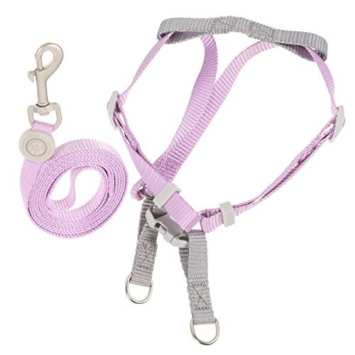 BUGUUYO 1satz Hundegeschirr Und Leine Set Verstellbar Und Leicht Ringen Für Outdoor-aktivitäten Mit Kleinen Bis Mittelgroßen Hunden BUGUUYO 1satz Hundegeschirr Und Leine Set Verstellbar Und Leicht Ringen Für Outdoor-aktivitäten Mit Kleinen Bis Mittelgroßen Hunden von BUGUUYO