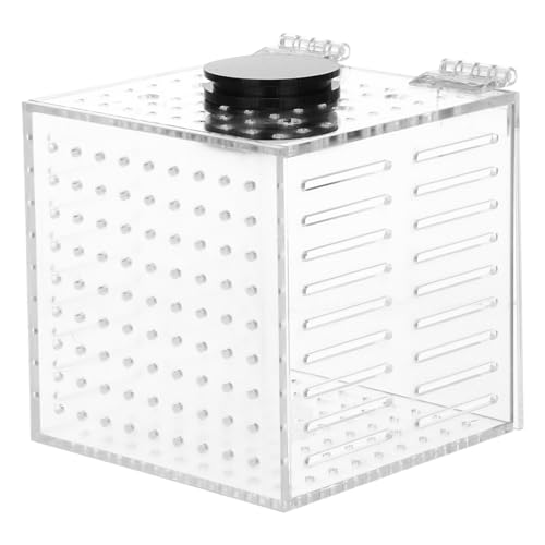 BUGUUYO Fisch-Isolationsbox multifunktionale magnetische Zuchtbox einfach am Aquarium zu befestigen BUGUUYO Fisch-Isolationsbox multifunktionale magnetische Zuchtbox einfach am Aquarium zu befestigen von BUGUUYO