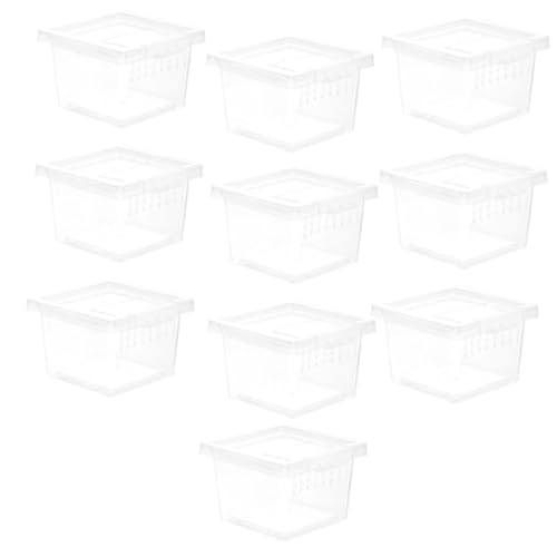 BUGUUYO 10St Futterbox für Haustiere Futterbox für Reptilien Schneckenterrarium Reptilienfütterungsbox Plastikfütterungsbox füttern Insektenbecken Kleiner Inkubator Spinne Zaun Moos von BUGUUYO