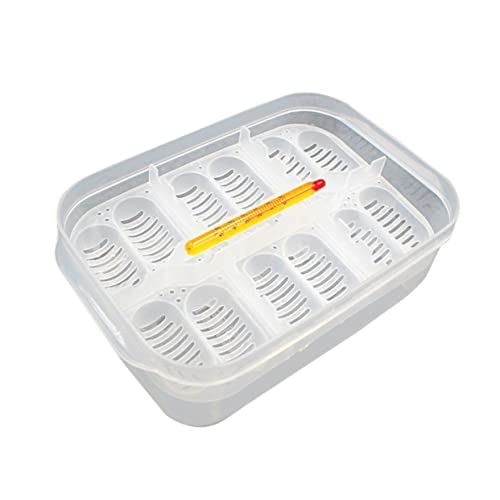 BUGUUYO Schlange Eidechsen Inkubator Schlupfkasten Thermometer Für Und Lagerung BUGUUYO Schlange Eidechsen Inkubator Schlupfkasten Thermometer Für Und Lagerung von BUGUUYO
