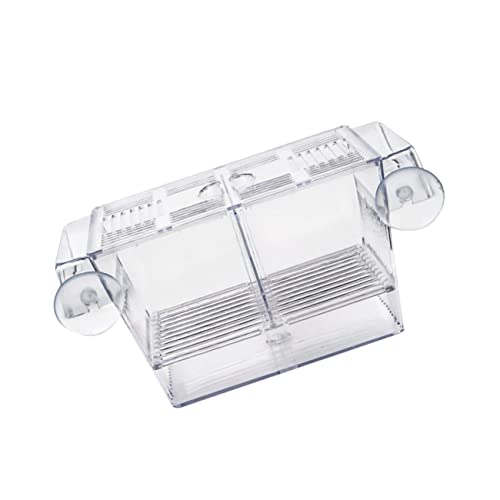 BUGUUYO Aufzuchtbecken Aquarium Fish Tank Fischzuchtbox Transparenter Inkubator Für Fische Isolationsbox Für Guppys Und Betta Aufzuchtbehälter BUGUUYO Aufzuchtbecken Aquarium Fish Tank Fischzuchtbox Transparenter Inkubator Für Fische Isolationsbox Für Guppys Und Betta Aufzuchtbehälter von BUGUUYO