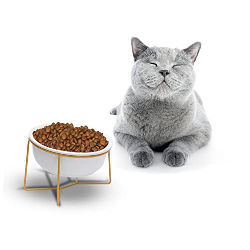 BUGUUYO Futternapf für Haustiere schräg Keramik Futternapf für Katzen und Hunde zervikal und langlebig 17 8 cm/800 ml Weiß BUGUUYO Futternapf für Haustiere schräg Keramik Futternapf für Katzen und Hunde zervikal und langlebig 17 8 cm/800 ml Weiß von BUGUUYO