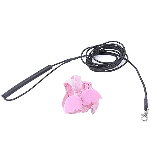 BUGUUYO Papagei Fliegen Trainingsseil 2m Elastisches Seil Vogel Für Heimtierbedarf BUGUUYO Papagei Fliegen Trainingsseil 2m Elastisches Seil Vogel Für Heimtierbedarf von BUGUUYO