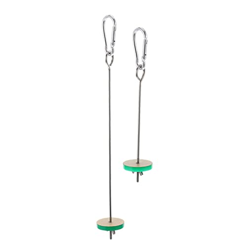 BUGUUYO Papagei Gemüse Spieß Obst 2PCS Edelstahl Obst Vogel Feeder Einfache Montage zu Vogel Käfig BUGUUYO Papagei Gemüse Spieß Obst 2PCS Edelstahl Obst Vogel Feeder Einfache Montage zu Vogel Käfig von BUGUUYO