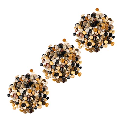 BUGUUYO 3 Packungen kleine Kieselsteine für Pflanzen Kiesel für Pflanzgefäße Kieselsteine Pflanzen pflanzendeko aquariumpflanzen zimmerpflanzen Pflanzentopffüller Stein für Blumentopf BUGUUYO 3 Packungen kleine Kieselsteine für Pflanzen Kiesel für Pflanzgefäße Kieselsteine Pflanzen pflanzendeko aquariumpflanzen zimmerpflanzen Pflanzentopffüller Stein für Blumentopf von BUGUUYO