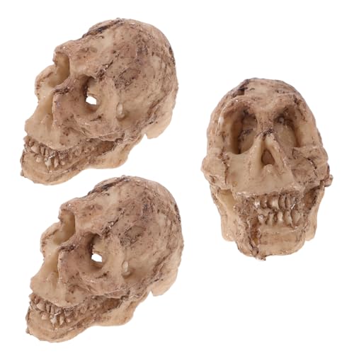 BUGUUYO 3 Stück Miniatur Totenkopf Dekoration Resin Terrarium Reptilien Zubehör Beige Detaillierte Schädel Modelle für Echsen Schlangen Geckos Habitat Gestaltung von BUGUUYO