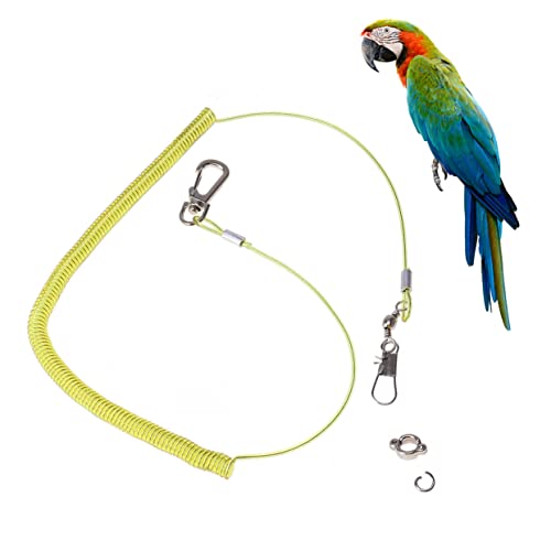 BUGUUYO Papagei Fliegen 3m Vogel Leine Elastische Seil Training Für Papagei Für Outdoor Zufällige Farbe BUGUUYO Papagei Fliegen 3m Vogel Leine Elastische Seil Training Für Papagei Für Outdoor Zufällige Farbe von BUGUUYO