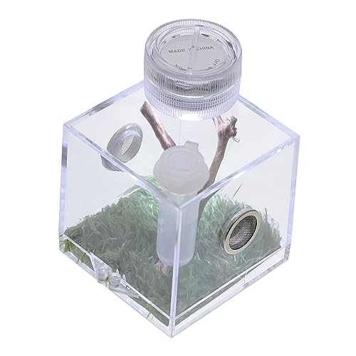 BUGUUYO 3stücke Springspinne Habitat Box Mit Lampe Transparente Zuchtbox Für Jumping Spiders Mit Luftbefeuchter Fütterungsöffnung Und Dekorativer Funktion Für Spinnenliebhaber Und BUGUUYO 3stücke Springspinne Habitat Box Mit Lampe Transparente Zuchtbox Für Jumping Spiders Mit Luftbefeuchter Fütterungsöffnung Und Dekorativer Funktion Für Spinnenliebhaber Und von BUGUUYO