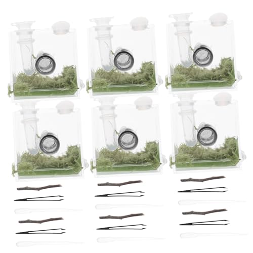 BUGUUYO 4 Sets Reptil Belüfteten Design Springenden Spinne Käfig Gehäuse Tank Pet Feeder Box von BUGUUYO