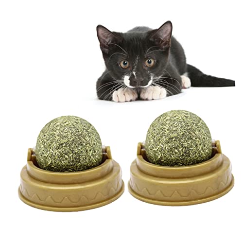BUGUUYO 4 Stück Katzensnacks Süßigkeiten Katzensachen Katzenbissball Verdauungsförderer Für Katzen Ballspielzeug Zum Aufkleben An Der Wand Katze Behandelt Minzkugel Katze Leckt Ball Green BUGUUYO 4 Stück Katzensnacks Süßigkeiten Katzensachen Katzenbissball Verdauungsförderer Für Katzen Ballspielzeug Zum Aufkleben An Der Wand Katze Behandelt Minzkugel Katze Leckt Ball Green von BUGUUYO
