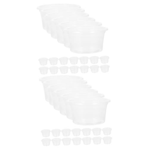 BUGUUYO 40 STK Wasserkasten für Reptilien Leopardgecko Trinkbecher für Wasser Reptilien wasserschale Reptilien zubehör Praktischer Futterbecher für Reptilien transparente Reptilienschale von BUGUUYO