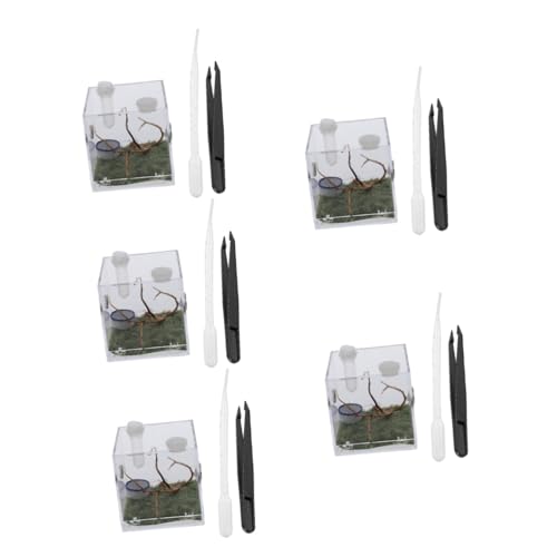 BUGUUYO 5 Sets Spinne Lebensraum Box Reptil Tank Springen Spinne Box Fütterung Tong von BUGUUYO